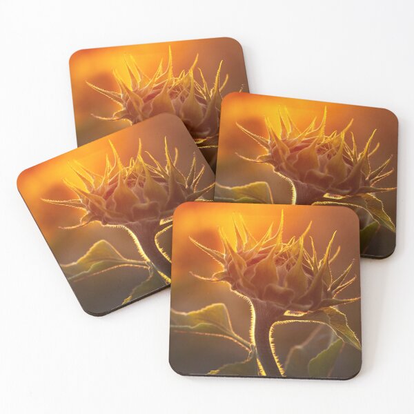 Item preview, Golden Hour Sunflower Bud Backlit Art designed and sold by Catrinann.