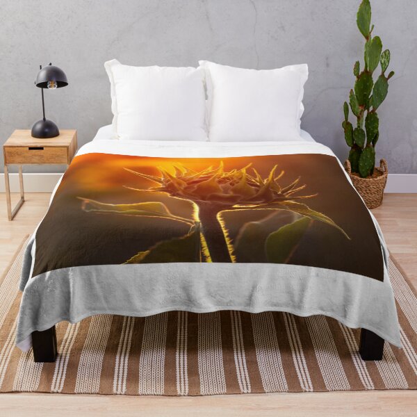 Item preview, Golden Hour Sunflower Bud Backlit Art designed and sold by Catrinann.