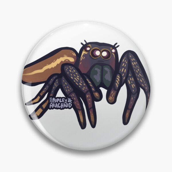 Item preview, Zucchini the Spider (Colonus Puerperus) designed and sold by Spiderdungeon.