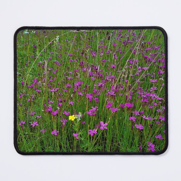 Item preview, purple field designed and sold by Zvezdana.