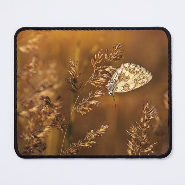 Item preview, Marbled White Butterfly on Golden Autumn Grass designed and sold by Catrinann.