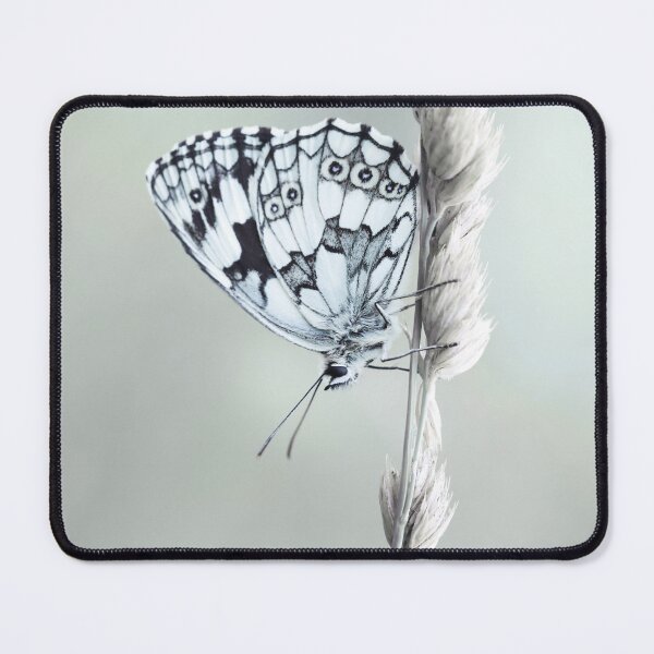 Item preview, Minimalist Marbled White Butterfly on Grass Art designed and sold by Catrinann.