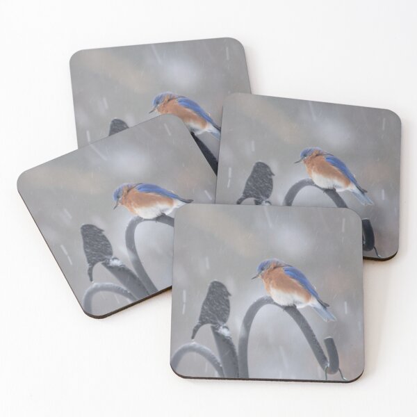 Item preview, Bluebird in NY winter with snow falling designed and sold by Perspective Wings.