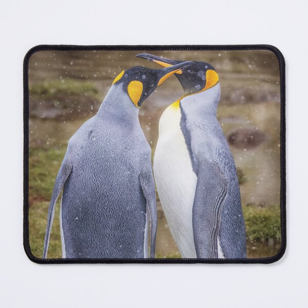 Item preview, Two King Penguins in Snowfall designed and sold by PhotoArt by Joan Carroll.