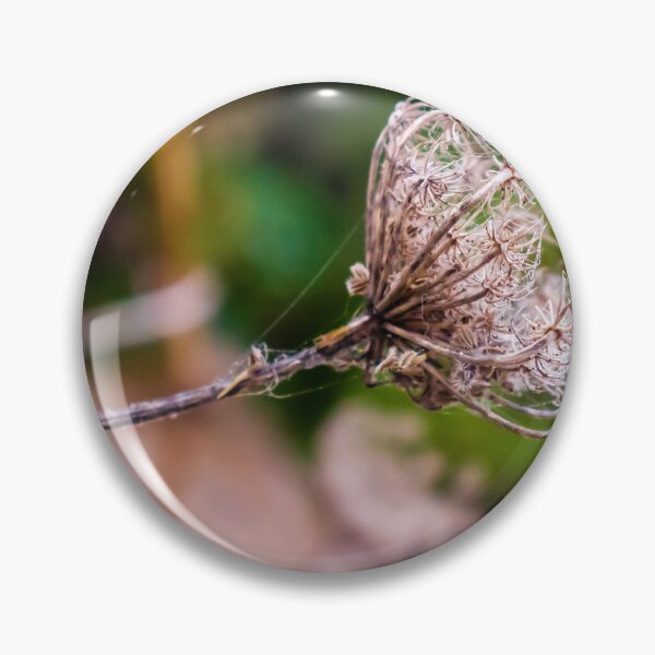 Item preview, Dried Wildflower Seed Pods On Thin Stem With Soft Green Bokeh Background designed and sold by Nmallia.