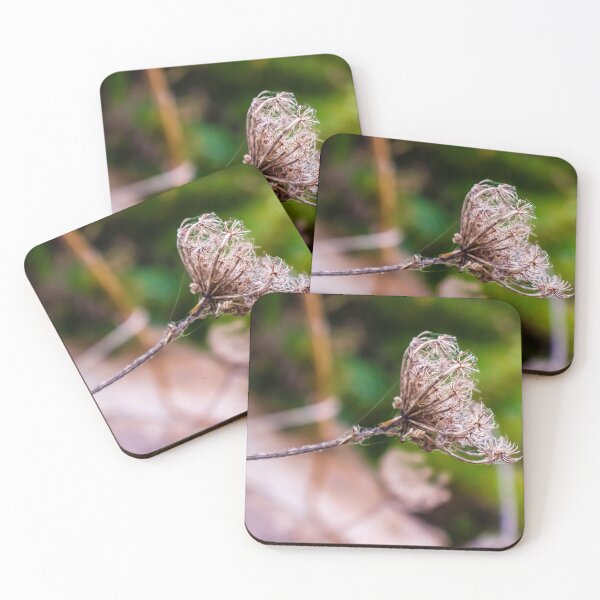 Item preview, Dried Wildflower Seed Pods On Thin Stem With Soft Green Bokeh Background designed and sold by Nmallia.