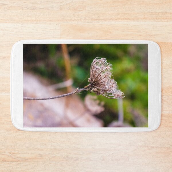 Item preview, Dried Wildflower Seed Pods On Thin Stem With Soft Green Bokeh Background designed and sold by Nmallia.