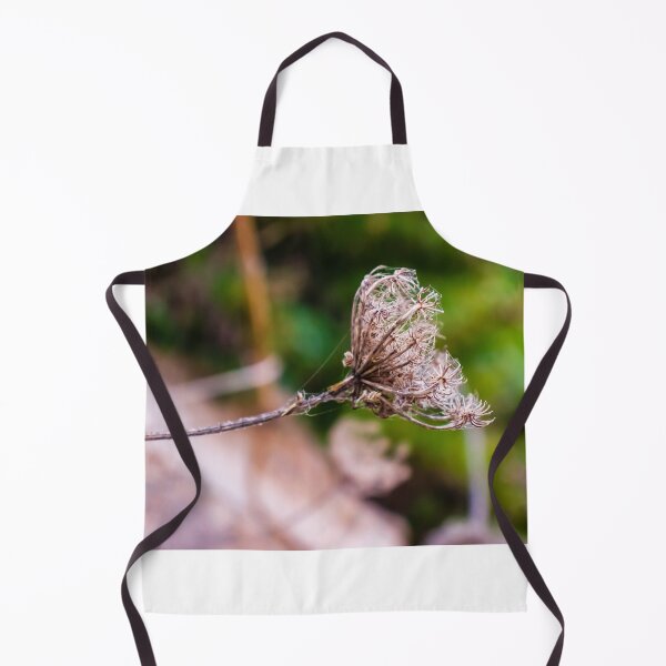 Item preview, Dried Wildflower Seed Pods On Thin Stem With Soft Green Bokeh Background designed and sold by Nmallia.