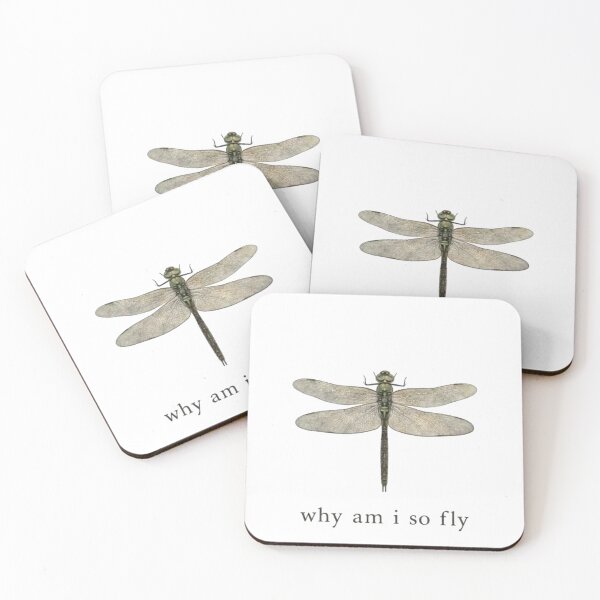 Item preview, Why Am I So Fly? Funny Dragonfly Pun T-Shirt | Cute Insect Meme Design designed and sold by Gbriel3.