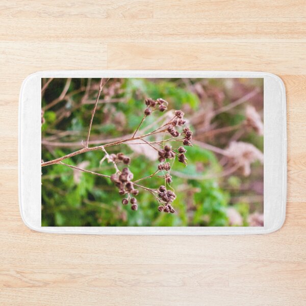 Item preview, Dried Wildflower Seed Pods On Thin Stem With Soft Green Bokeh Background designed and sold by Nmallia.