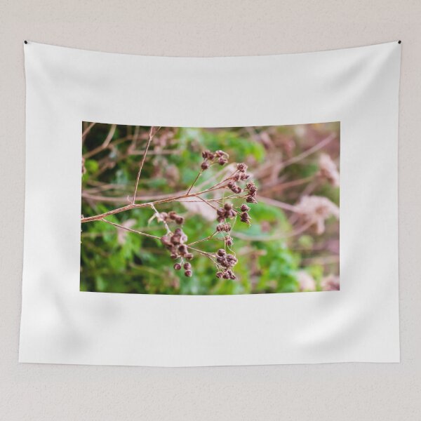 Item preview, Dried Wildflower Seed Pods On Thin Stem With Soft Green Bokeh Background designed and sold by Nmallia.