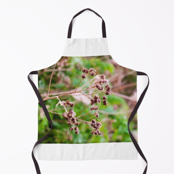 Item preview, Dried Wildflower Seed Pods On Thin Stem With Soft Green Bokeh Background designed and sold by Nmallia.