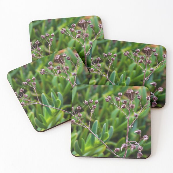 Item preview, Dried Wildflower Seed Pods On Thin Stem With Soft Green Bokeh Background designed and sold by Nmallia.