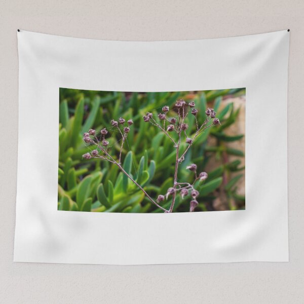 Item preview, Dried Wildflower Seed Pods On Thin Stem With Soft Green Bokeh Background designed and sold by Nmallia.