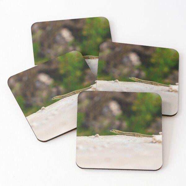 Item preview, Small Green Lizard Sunbathing on a Rocky Ledge With Blurred Natural Background designed and sold by Nmallia.