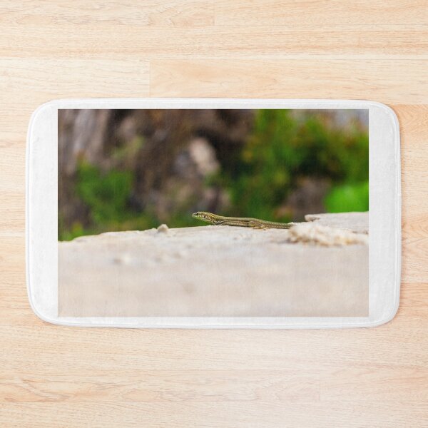 Item preview, Small Green Lizard Sunbathing on a Rocky Ledge With Blurred Natural Background designed and sold by Nmallia.