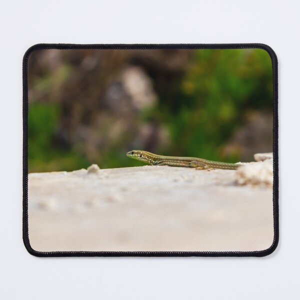 Item preview, Small Green Lizard Sunbathing on a Rocky Ledge With Blurred Natural Background designed and sold by Nmallia.