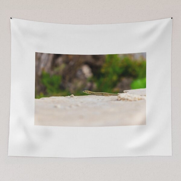 Item preview, Small Green Lizard Sunbathing on a Rocky Ledge With Blurred Natural Background designed and sold by Nmallia.