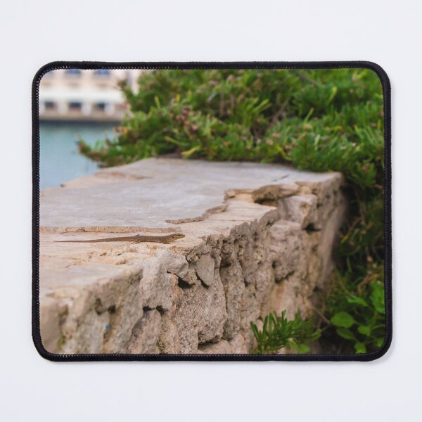 Item preview, Small Green Lizard Sunbathing on a Rocky Ledge With Blurred Natural Background designed and sold by Nmallia.