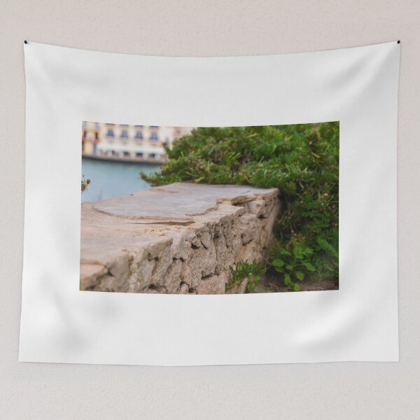 Item preview, Small Green Lizard Sunbathing on a Rocky Ledge With Blurred Natural Background designed and sold by Nmallia.