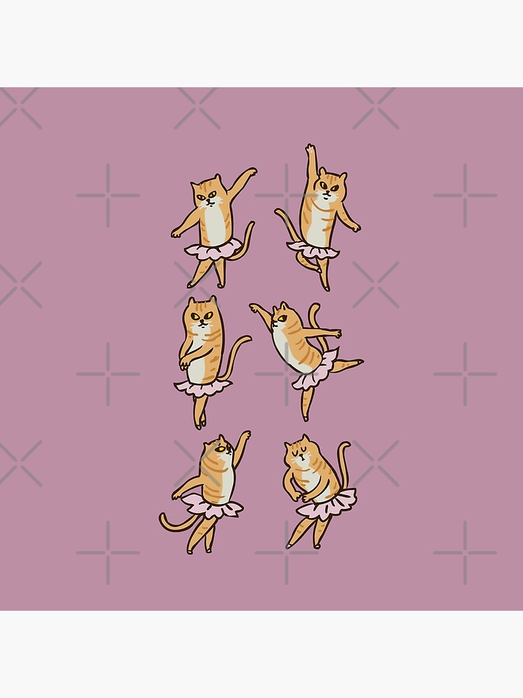 Ballet Cat by Huebucket