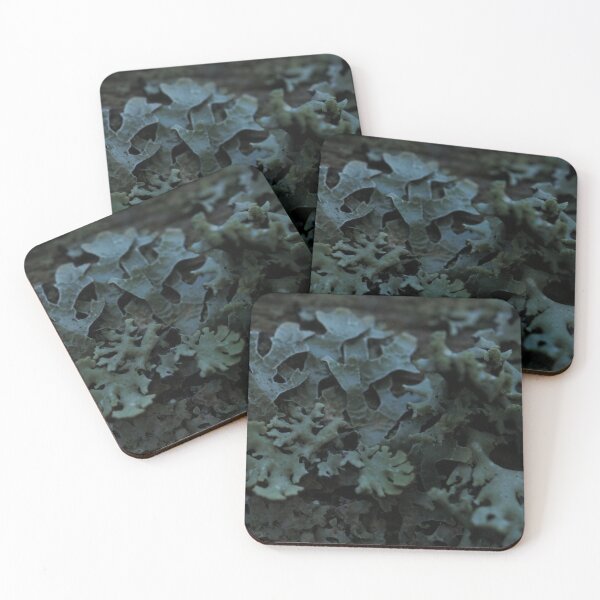 Item preview, Moody Dark Foliose Lichen Forest Texture Macro designed and sold by vikko-art.