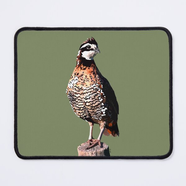 Item preview, Minimalist Abstract Boho Northern Bobwhite Quail designed and sold by LuxeHurricane.