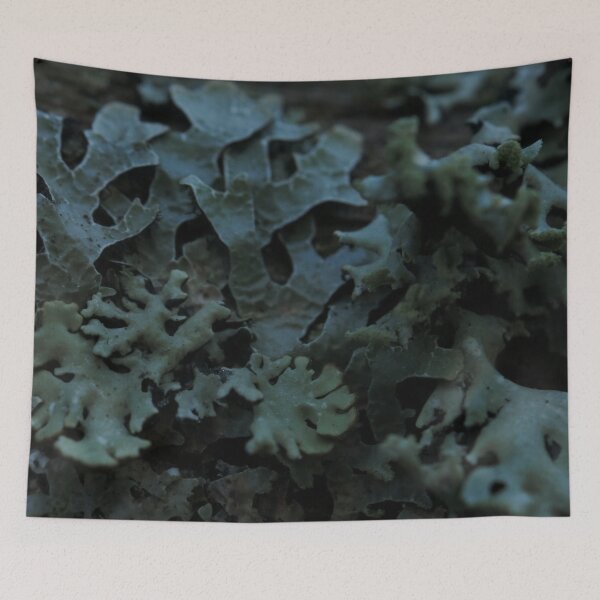 Item preview, Moody Dark Foliose Lichen Forest Texture Macro designed and sold by vikko-art.