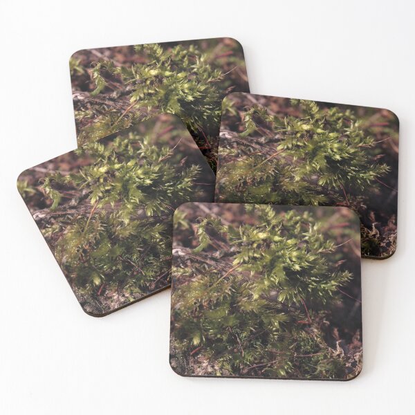 Item preview, Warm Sunlit Forest Moss Macro Photography designed and sold by vikko-art.
