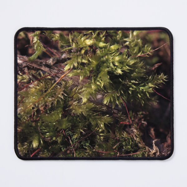 Item preview, Warm Sunlit Forest Moss Macro Photography designed and sold by vikko-art.
