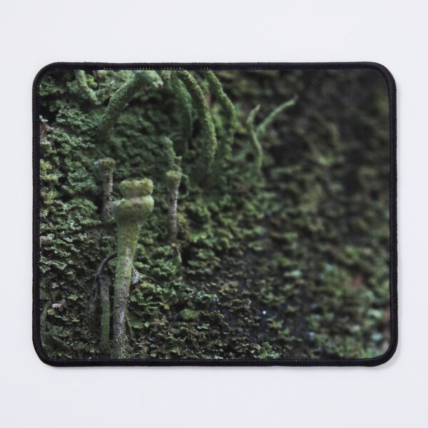 Item preview, Moody Green Lichen Stalk on Dark Bark Macro designed and sold by vikko-art.