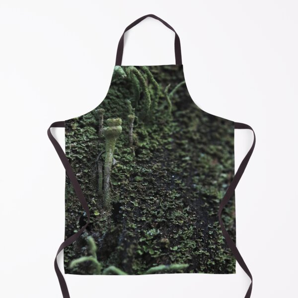 Item preview, Moody Green Lichen Stalk on Dark Bark Macro designed and sold by vikko-art.