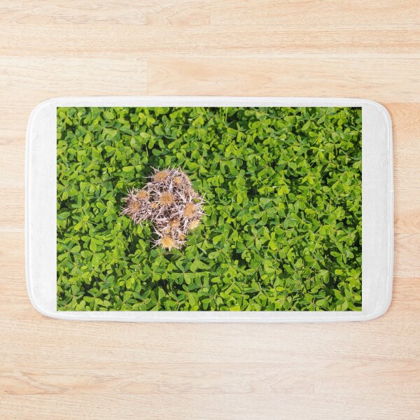 Item preview, Cluster Of Dried Thistle Seedheads Resting On Lush Green Clover Groundcover In Sunlight designed and sold by Nmallia.
