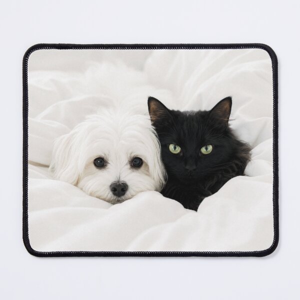 Item preview, Fluffy Maltese Dog and Black Cat on White Bed designed and sold by Lucia Amaris Art.