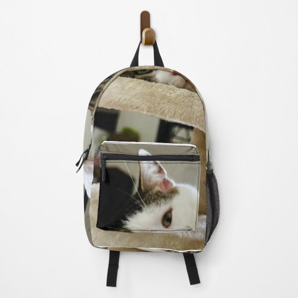Item preview, Florida Paws – Cat on Bed – Soft Indoor Light designed and sold by QuietBloomDHS.
