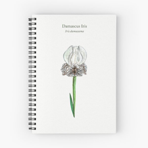 Item preview, Flora of Syria // Damascus Iris designed and sold by arameanartist.