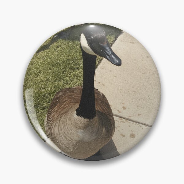 Item preview, Canada Geese Real Photo Print designed and sold by KaleChub.
