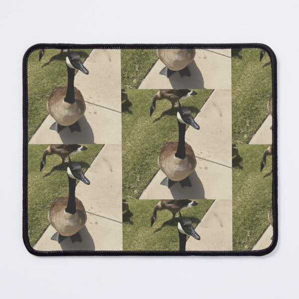 Item preview, Canada Geese Real Photo Print designed and sold by KaleChub.