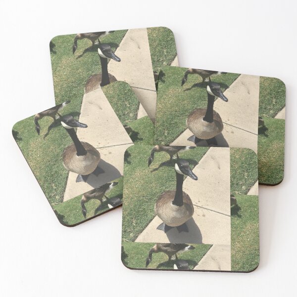 Item preview, Canada Geese Real Photo Print designed and sold by KaleChub.