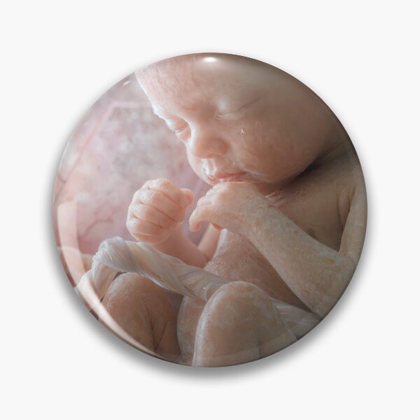 Item preview, Human Fetus in the Womb designed and sold by Maria Dryfhout.