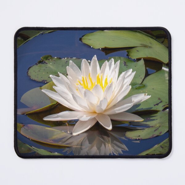 Item preview, Waterlily designed and sold by Alla Gill.