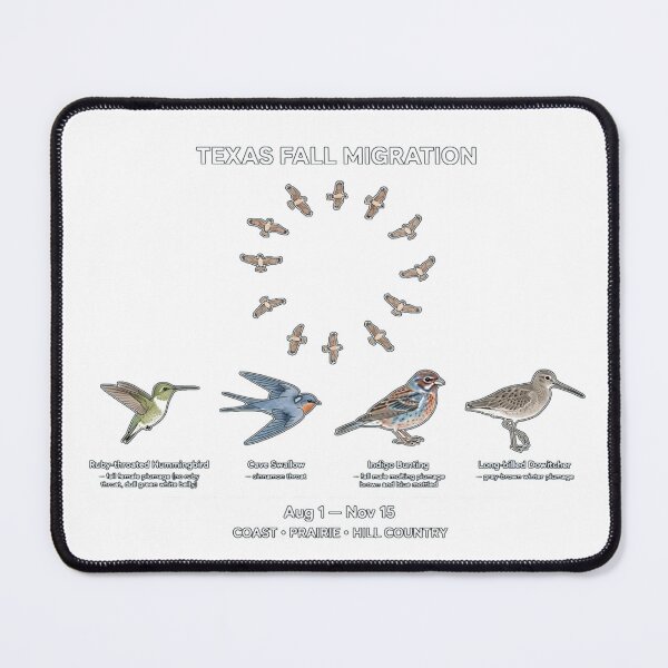 Item preview, Texas Fall Migration Birds Poster Birdwatching Guide Field Guide - Aug 1 to Nov 15 designed and sold by Neurospicy Trolls.