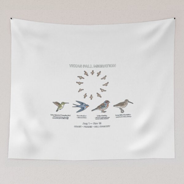 Item preview, Texas Fall Migration Birds Poster Birdwatching Guide Field Guide - Aug 1 to Nov 15 designed and sold by Neurospicy Trolls.