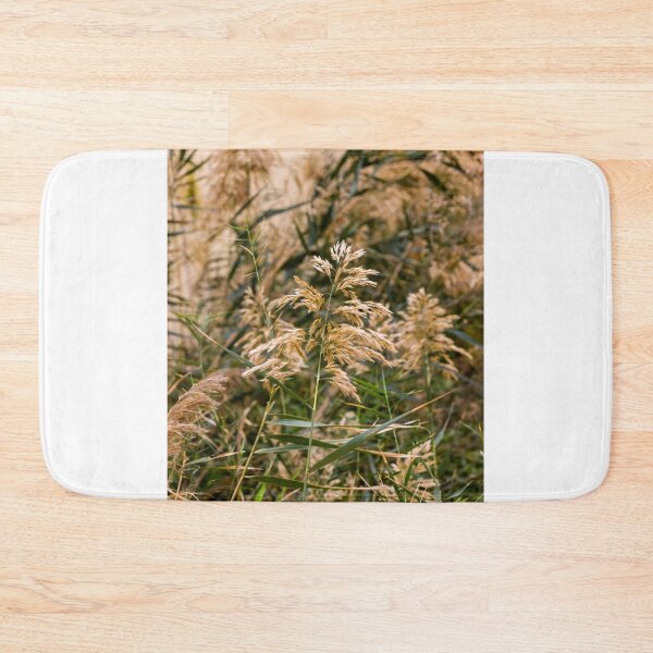 Item preview, Golden Reed Grass Seed Heads in a Wild Meadow With Soft Autumn Light and Natural Texture designed and sold by Nmallia.