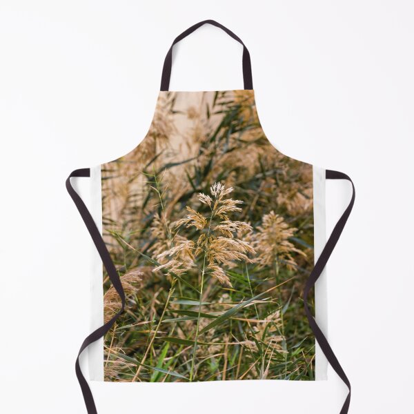 Item preview, Golden Reed Grass Seed Heads in a Wild Meadow With Soft Autumn Light and Natural Texture designed and sold by Nmallia.
