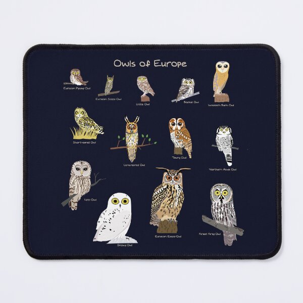 Item preview, Owls of Europe comic designed and sold by AndrasVasasArt.