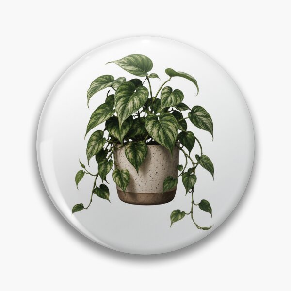 Item preview, Variegated Heartleaf Philodendron in Ceramic Pot designed and sold by MySthore.