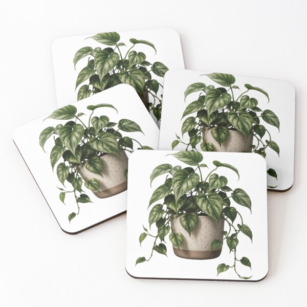 Item preview, Variegated Heartleaf Philodendron in Ceramic Pot designed and sold by MySthore.