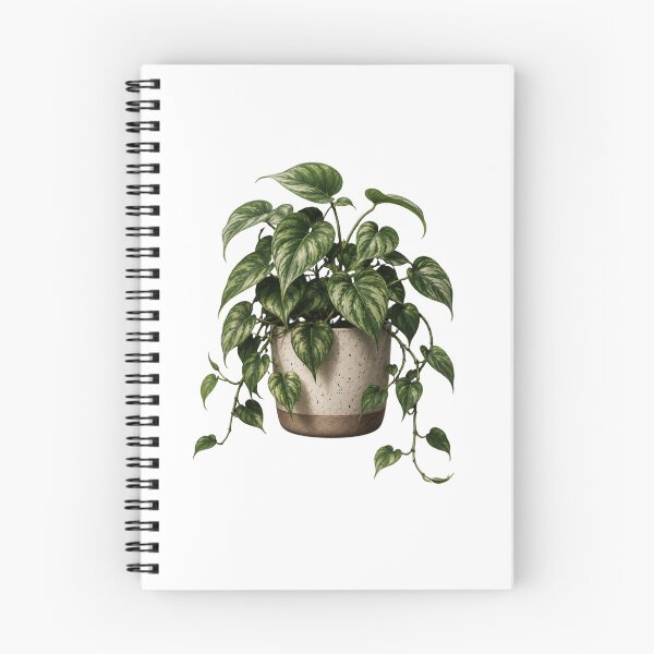 Item preview, Variegated Heartleaf Philodendron in Ceramic Pot designed and sold by MySthore.
