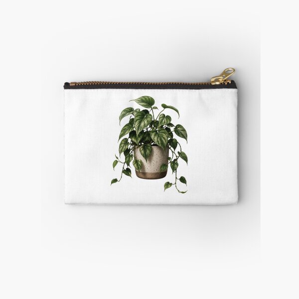 Item preview, Variegated Heartleaf Philodendron in Ceramic Pot designed and sold by MySthore.